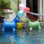 pool-volleyball(01)